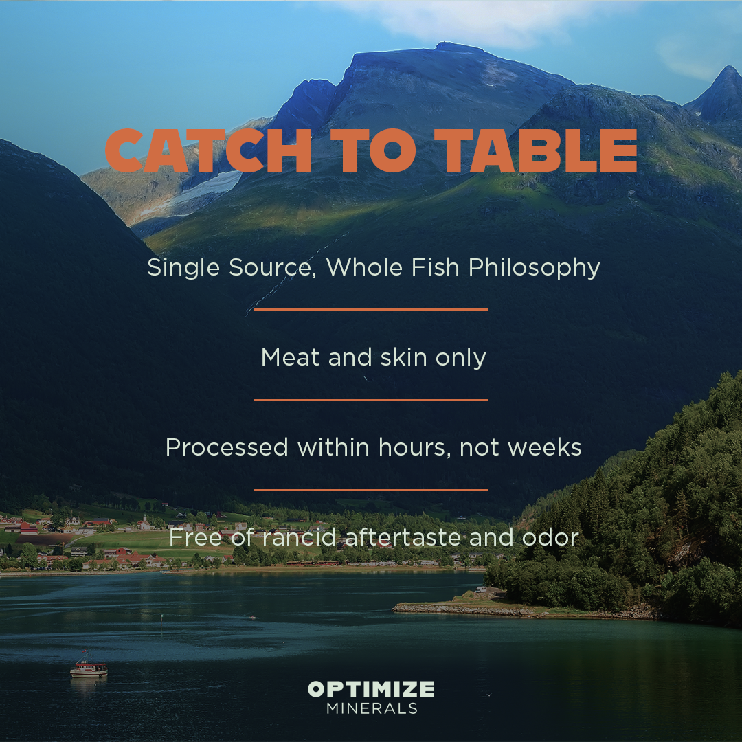 Optimize Omegas and Vitaminz Bundle