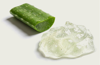 Aloe vera extract