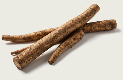 Burdock root