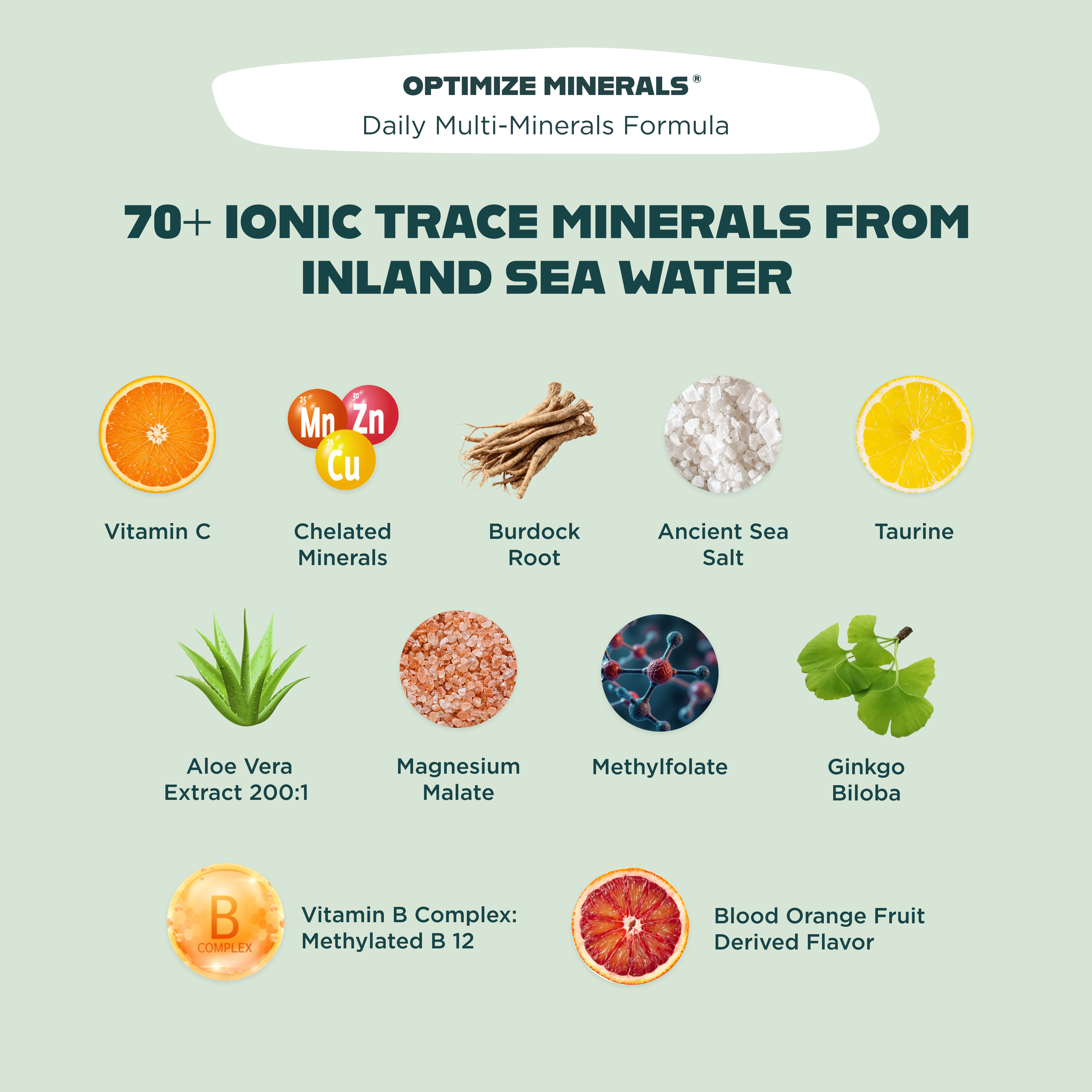 variant:mixed-berry-om-citrus-blast-hydration